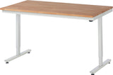 Electric Height Adjustable Workbench